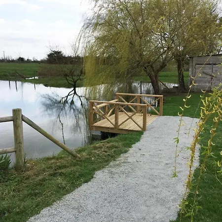Dom wakacyjny Avec Animaux Admis - 12 Pers. - Fr-1-426-615